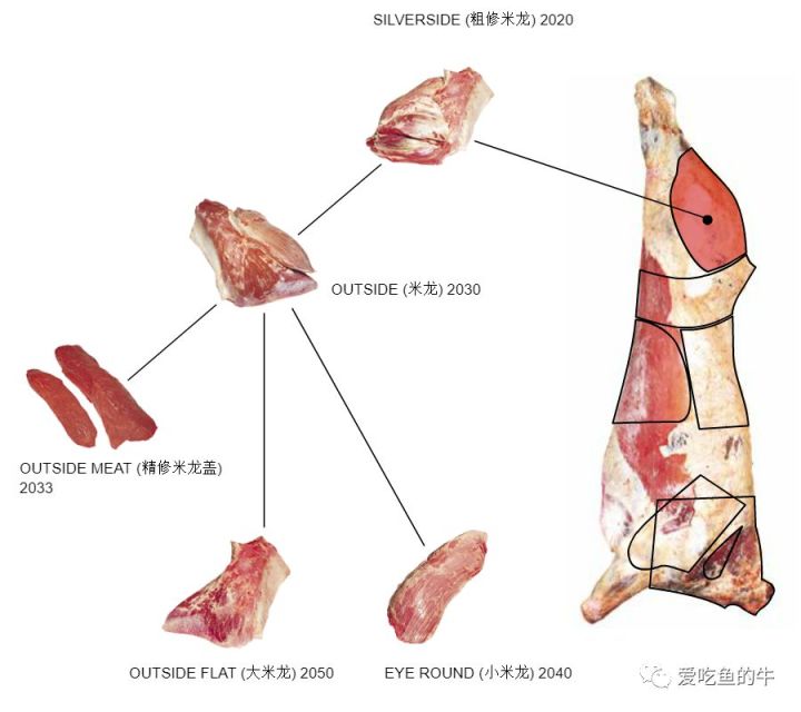 牛排部位的介绍和口感图解23