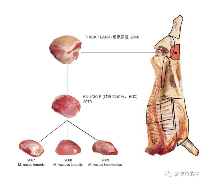 牛排部位的介绍和口感图解24