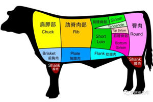 牛排部位的介绍和口感图解